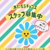 木になるチョコススタッフ募集中😊