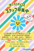 一緒に働いてくれる方、募集致します。「木になるチョコススタッフ募集中😊」