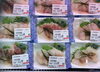 真鱈昆布〆「【塩引鮭、塩引鮭粗ほぐし、塩引鮭コロッケ、鮭の焼漬、鮭製品、手作り惣菜のご用命は新潟県村上市、総合食品さいとう】」