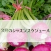 🌸 春からの新生活に向けて 3月レッスンのご案内 🌸