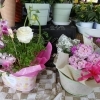 歓送迎会やお祝いに。明るく華やかな寄せ植えを贈りませんか