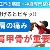 【投球で痛い】ボールを投げると肩が痛い原因と改善方法を徹底解説!!|松江市にある筋膜×神経整体で根本改善を目指す【松江・出雲・米子・整体・根本改善】