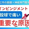 【肩のインピンジメント】投げると肩が痛い原因は肋骨の神経です。｜なぜ神経の動きが悪くなるのか？その理由を理学療法士が徹底解説!!|島根県松江市にある神経と筋膜専門の整体で根本改善【松江・出雲・米子・整体・根本改善】
