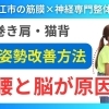 【巻き肩】猫背改善には肋骨と鎖骨をほぐすと早い｜でも重要なのは〇〇と連動させること！｜島根県松江市にある理学療法士資格を持つ代表の整体院で根本改善!!【松江・出雲・米子・整体・根本改善】