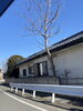 自宅の木、チェーンソーで切断です。「1995年の創業から育んだ確かな探偵力で必ず「あなた」の抱えている問題を解決致します。無理な営業は一切致しません。ご安心下さい。」