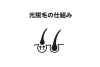 「光脱毛のしくみ」