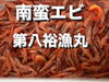 南蛮エビ「鮮魚入荷致しました」
