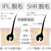 いまさら聞けないIPLとSHRの違い｜これから脱毛を始める方へ