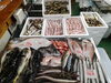 令和8年2月26日 店内「📣本日のお魚情報🐟」