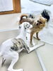 「予防接種が終わったパピーへ｜新潟市の犬の保育園でお友達デビューしませんか？ハッピーテイル♪」