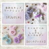 「モールドール＆しゃかもこキー WS」