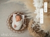 Newborn Photography「ニューボンフォトサービス変更のお知らせ」