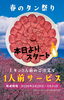 「今日から春のタン祭り🌷🌸」
