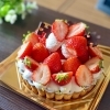 春のいちごスイーツ、タルト＆ショートケーキのご案内