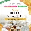 HELLO NEW LIFE!