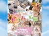 #うちの子自慢フォト募集中「Instagram＆WEBで参加OK！「#うちの子自慢フォト」大募集🐾【応募〆切：2026年3月19日】」