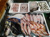 令和8年2月28日 店内「📣本日入荷のお魚情報🐟」