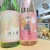 華やかな春のお酒が入荷しました🌸