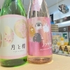 華やかな春のお酒が入荷しました🌸