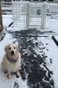 今年の雪には驚きましたね(^▽^)「3月のおやすみをご案内」