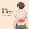 腰痛は、腰に原因？ そこだけ見ていませんか？「【草津市】腰痛は腰に原因？骨盤・股関節・回復材料から考える整体の視点」