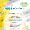 ☆脱毛キャンペーン☆総武線平井駅北口から徒歩約3分！