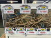 「【🦀入荷速報】「幻の間人蟹」がまたもや勢揃いしました！」