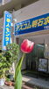 明石市 神戸市西区でお仕事をお探しなら テスコム明石求人センターへ「明石市大明石町【テスコム明石求人センター】3月の新着求人」
