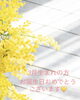 3月生まれの方へ💛「💛3月生まれの方へ💛」