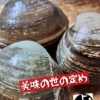ホッキ貝入荷致しました！