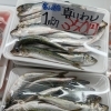 富山県産いわし＆京都府産丸アジ 入荷しました！