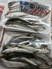 「富山県産いわし＆京都府産丸アジ 入荷しました！」