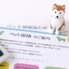 【大切なペットを亡くされた方へ】ペット保険の解約手続き、お忘れではないですか？