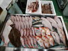 令和8年3月2日 店内「📣本日のお魚情報🐟」