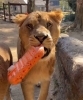 「もうすぐ2歳になります！」
