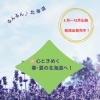 春・夏の北海道＆九州へ！パンフレットと新商品がそろいました