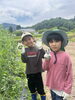 実りある学びと成長を体験「仕事体験プログラムで「社会とつながる学び」を」