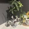 ―　自宅の玄関がかわいい　―