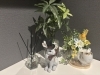「―　自宅の玄関がかわいい　―」