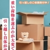 引っ越しで増えたダンボール、少しずつ一緒に見直しませんか