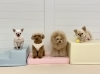 おもち♡ナリちゃん♡きぃ♡きな「ましゅまろ幼稚園🐾」