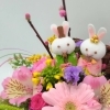 ３月の定休日のお知らせ📢
