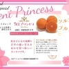 🍊✨愛媛県オリジナルの新柑橘「紅プリンセス」販売中！✨🍊