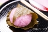 「～桜餅プレゼント～」