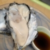 【魚も酒も自ら厳選する瑞江の小料理屋】