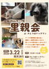 可愛い保護猫・保護犬に会える里親会「【3/22開催】大阪アークさんの保護犬・保護猫 里親会 in きんつばドッグラン」