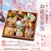一魚一会 期間限定「お花見弁当」ご予約受付中