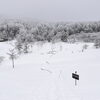 冬の入笠山で楽しむスノートレッキング❄︎