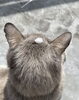 「季節の変わり目」