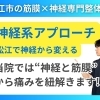 【神経系アプローチ】松江市にある全身の神経から慢性疼痛の根本改善を目指す整体院｜【松江・出雲・米子・整体・根本改善】